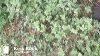 clip210