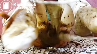 anna_Jeggins2