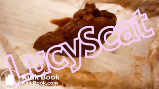 Both holes fucked and plastic panty poop  LucyScat