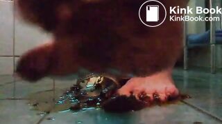 KV_VID (27)