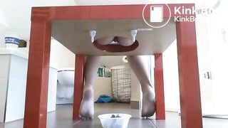 Home made toilet