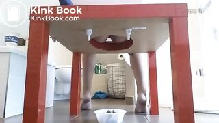 Home made toilet