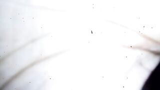 VID-20180608-WA0025