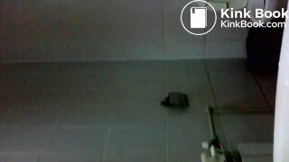 MY SCAT IN TOILET
