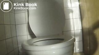 Toilet scat