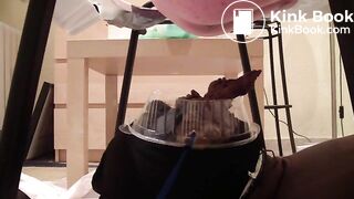 Spanish girls pooping on slave (22)