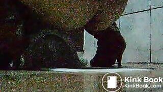toliet20