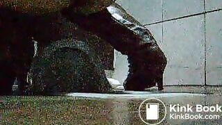 toliet20