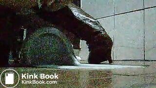 toliet20