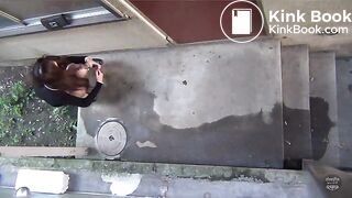 2 shitting