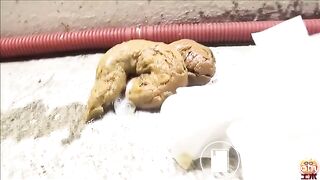 Well-dressed woman shitting in the alley 6