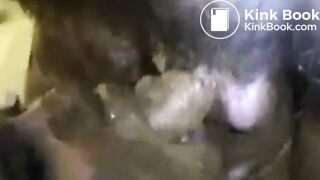 Scat Compilation