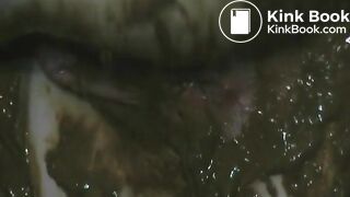 nice shitting