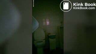toliet7