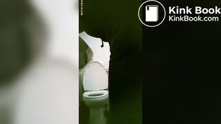 toliet7