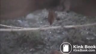 Mix of girls pooping indoor and outdoor On xPee