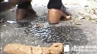 BeautyPoop2