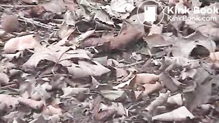 clip215