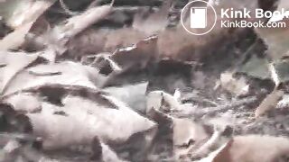 clip215