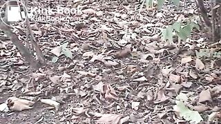 clip215