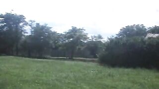 clip219