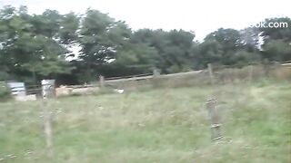 clip219
