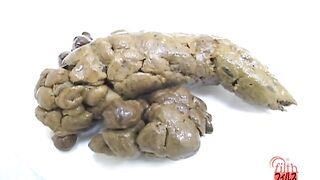 Shit on a plate and examine the shit 3