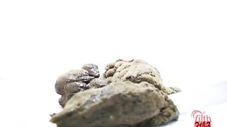 Shit on a plate and examine the shit 3