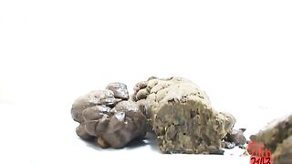 Shit on a plate and examine the shit 3