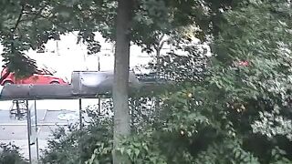 Shit on the park
