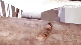 beauty does sexy stairway poop