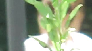 F15-08-09