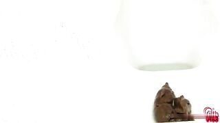 Convenience Store Girls 8-Pt3