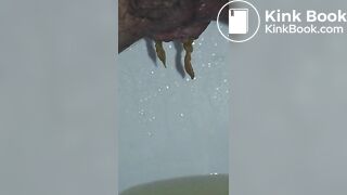 Chinese Girl Sexy Poop 43