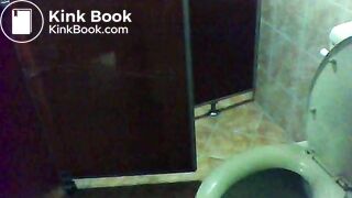 toliet13