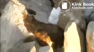 Tomb Raider Scat Parody