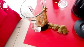 SCAT, VODKA SHAKE