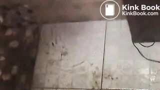 scat plays