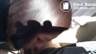 Wife sucking friend in a car