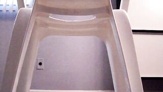 BBW Make Shift Potty Seat