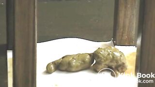 Big Piece of Shit