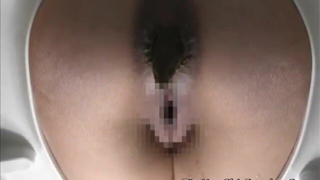 Japanese Western Toilet Bowlcam 58-part03