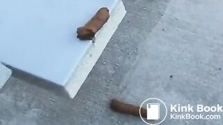 Beauty Takes A Shit Outdoors