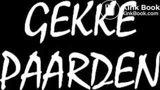 GEKKE PAARDEN 2