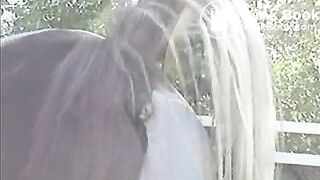 GEKKE PAARDEN 2