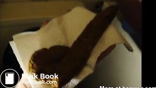 Big Brown Shit Snake