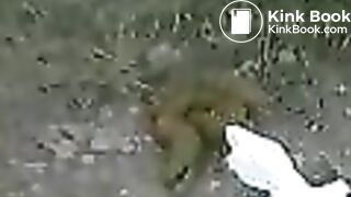 03415-kvf