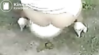 03415-kvf