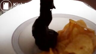 Chips mit Scheisse, Pisse und Sperm