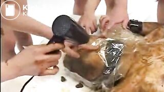 Japanese Scat 18